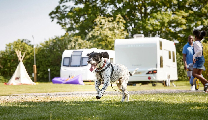 new-bailey-phoenix3.jpg